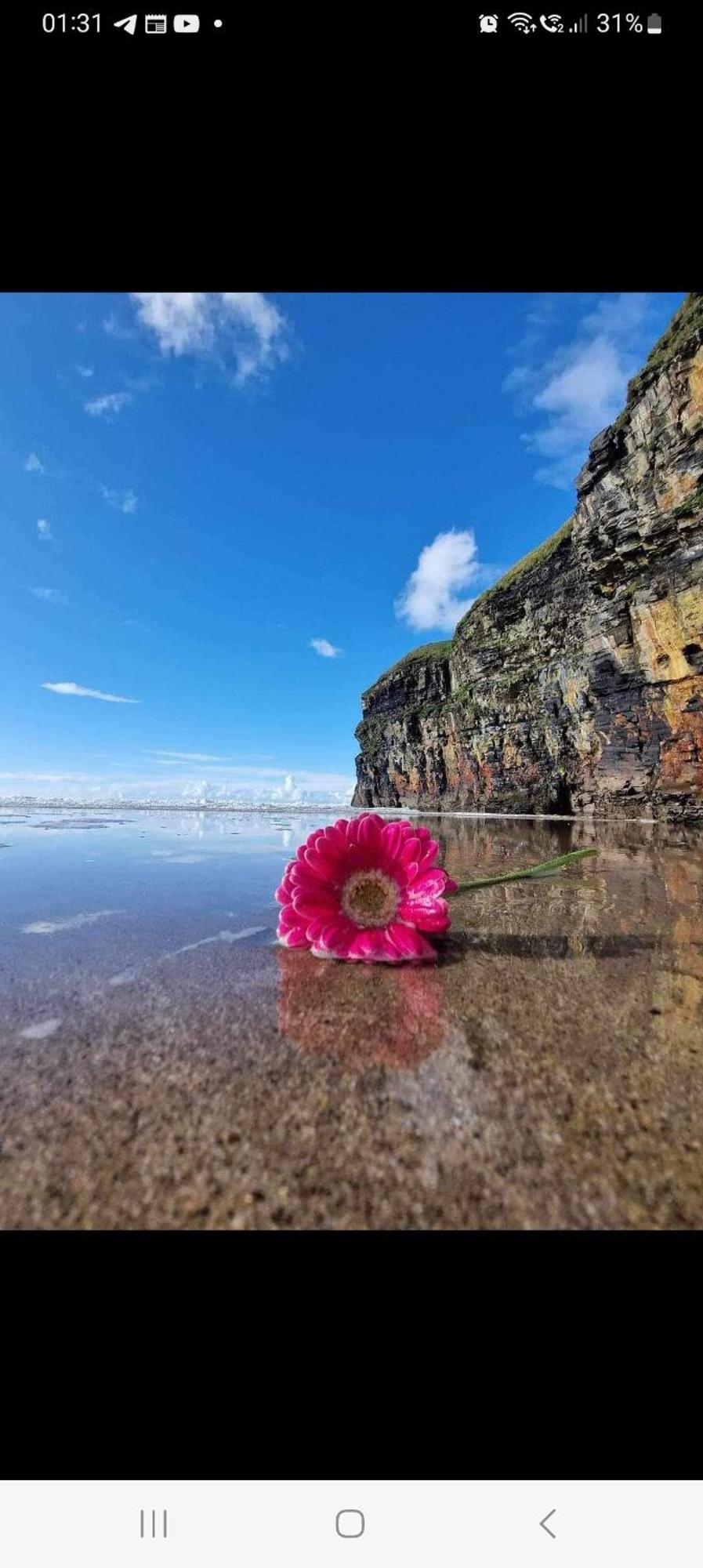 Luxury Holiday Rental With Sea Views On The Wild Atlantic Way Tralee Exteriör bild